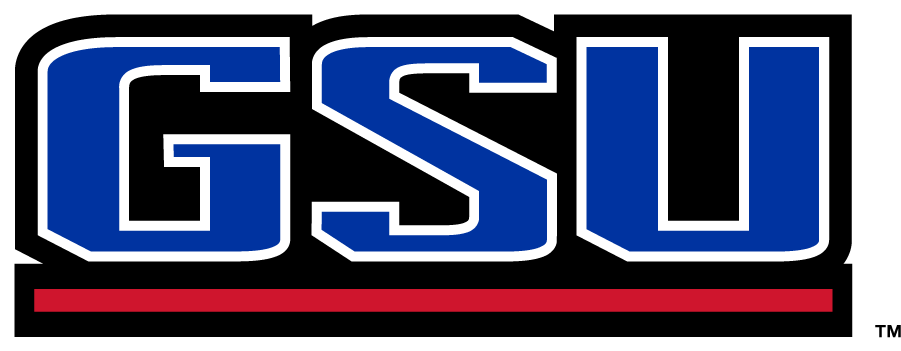 Georgia State Panthers 2009-2012 Wordmark Logo v2 DIY iron on transfer (heat transfer)